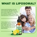 2-pack-l-lysine-1000mg-liquid-drops-w-mo-6.jpg