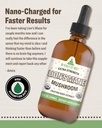 rawguru-lions-mane-mushroom-tincture---v-5.jpg