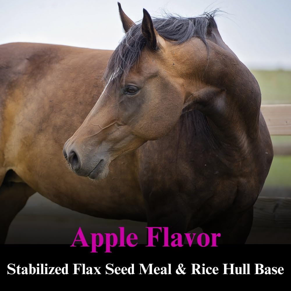su-per-b-15-vitamin-supplement-for-horse-3.jpg