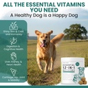 dog-multivitamin-chewable-chew-heal-12-i-2.jpg
