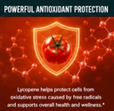 krk-supplements-2-bottles-lycopene-50mg--3.jpg