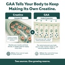 creatine-reserve-creatine-monohydrate-po-4.jpg