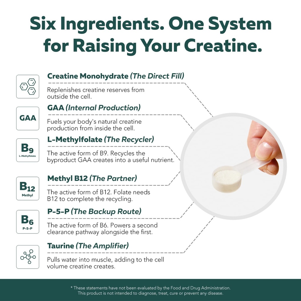 creatine-reserve-creatine-monohydrate-po-6.jpg