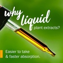 herb-pharm-certified-organic-intestinal--3.jpg