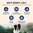 under-the-weather-pet-electrolytes-ready-2.jpg