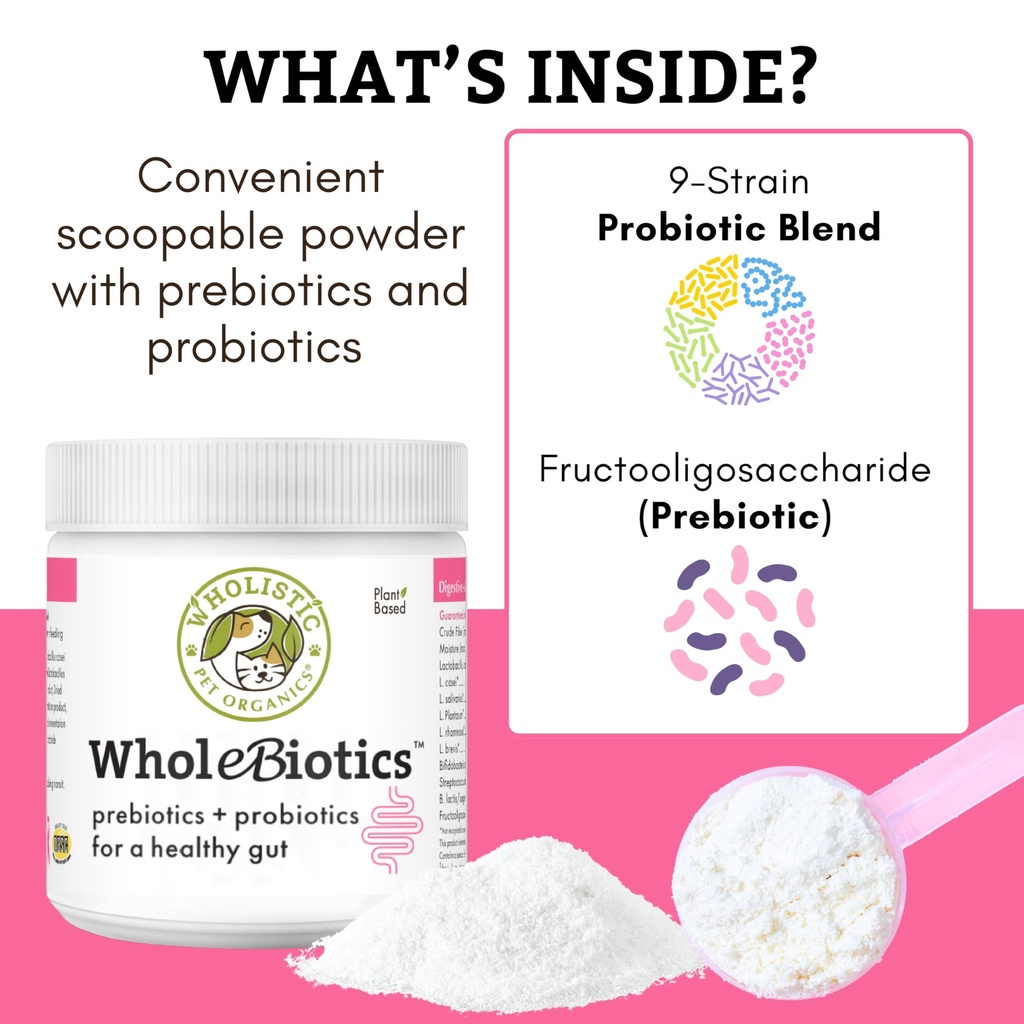 prebiotics-probiotics-for-dogs-cats-dige-3.jpg