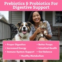 prebiotics-probiotics-for-dogs-cats-dige-2.jpg