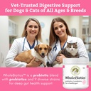 prebiotics-probiotics-for-dogs-cats-dige-4.jpg