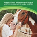 heiro-healthy-equine-insulin-rescue-nutr-5.jpg