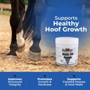 animed-biotin-100-daily-horse-hoof-suppl-2.jpg