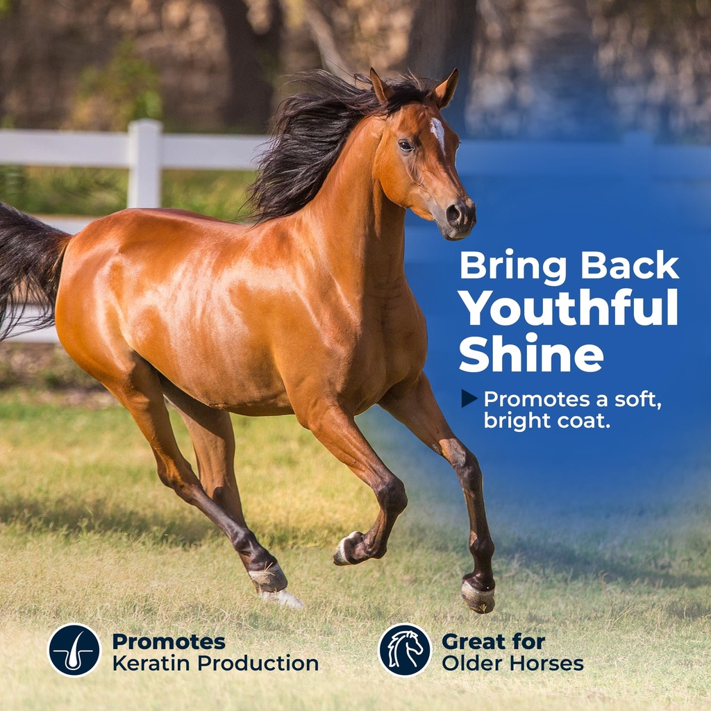 animed-biotin-100-daily-horse-hoof-suppl-3.jpg