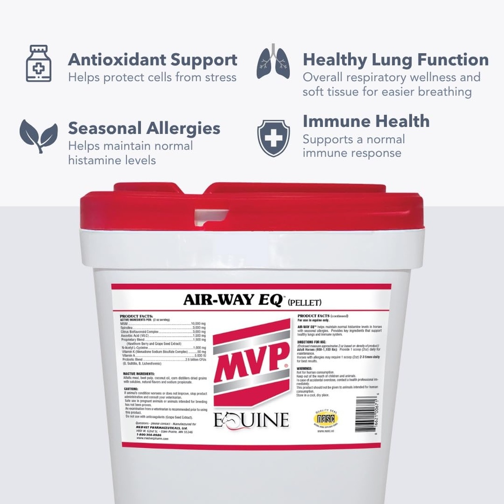 mvp-air-way-eq-supports-healthy-lung-fun-2.jpg