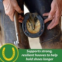 farnam-hb-15-hoof-supplement-supports-he-3.jpg