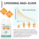 orgabay-liposomal-nad-supplement-500-mg--5.jpg