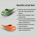 ceramic-neti-pot-white-color-reusable-si-51rUgrHvF4L.jpg