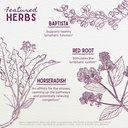 wishgarden-herbs-kick-ass-sinus-congesti-91SL2CedcnL.jpg