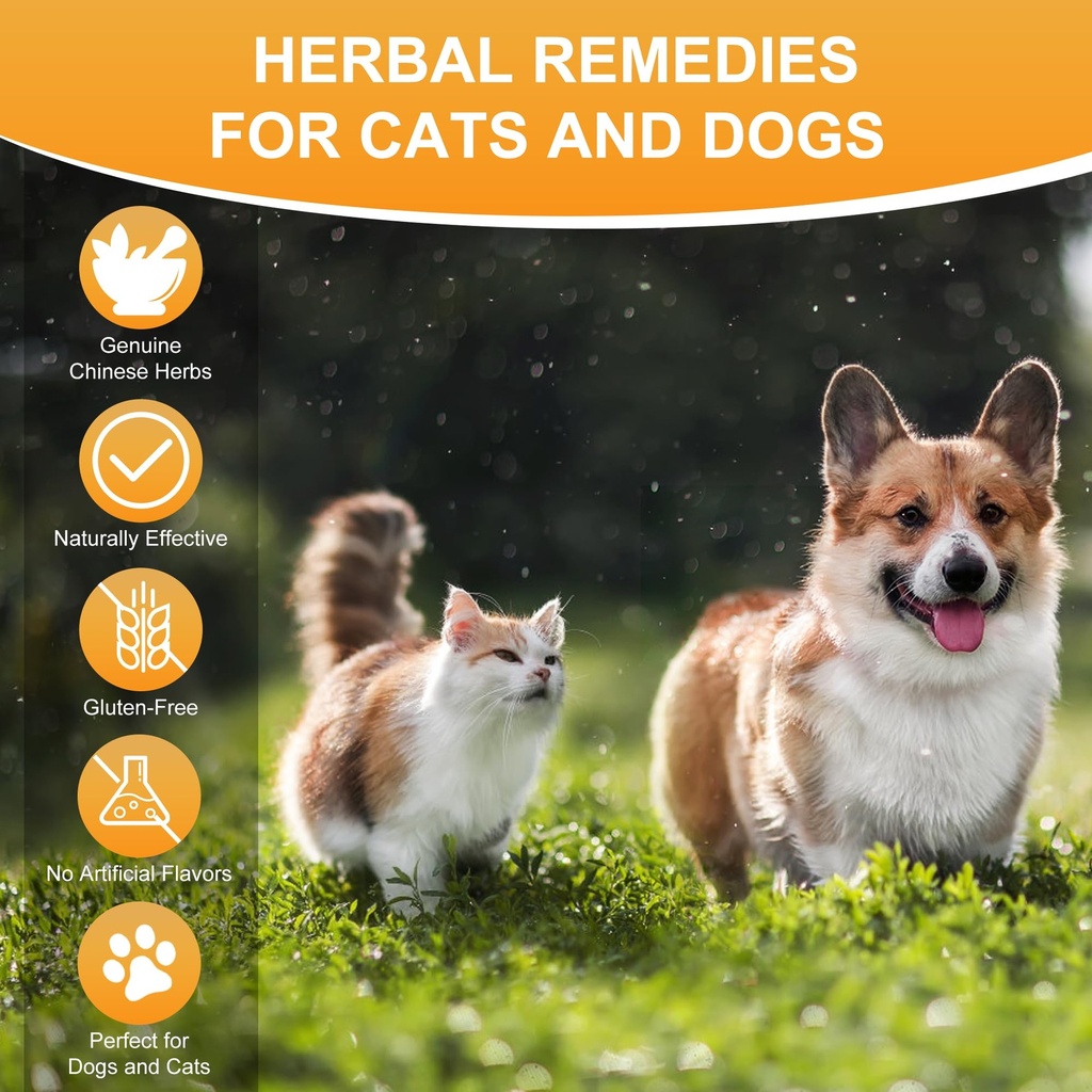 dog-cat-bladder-crystals-treatment-or-st-81XoQWafdBL.jpg