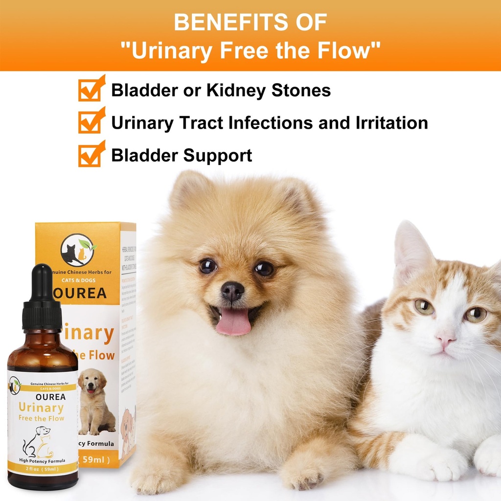 dog-cat-bladder-crystals-treatment-or-st-81JsEchrQHL.jpg
