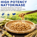 nattokinase-supplement-10-800-fu-with-or-81fzNckWRWL.jpg
