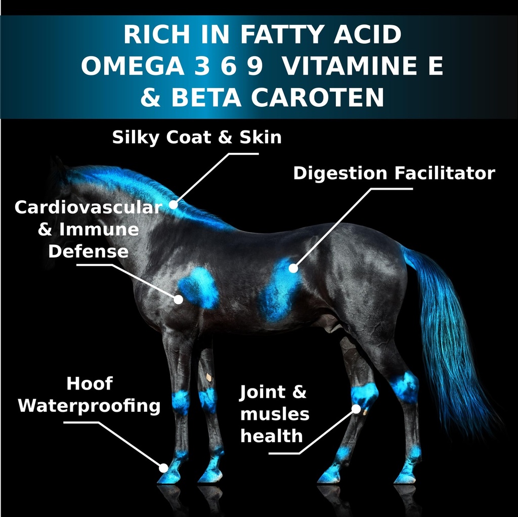 equine-horse-oil-supplement-3-natural-oi-81b7zYVXbVL.jpg