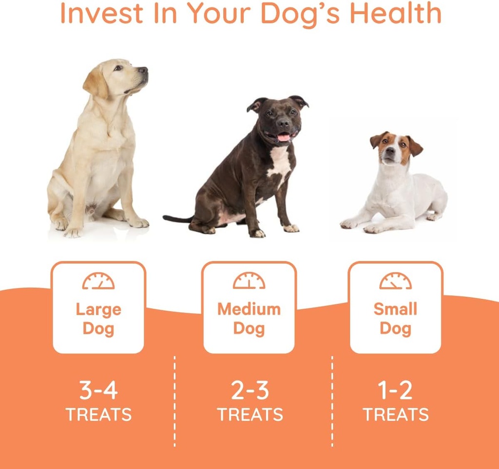 petralyte-dog-electrolyte-and-joint-supp-5.jpg