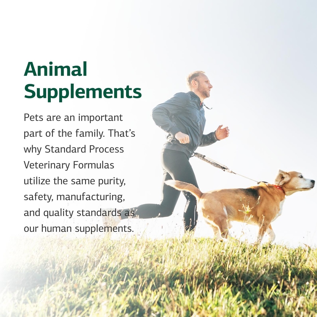 standard-process-equine-metabolic-suppor-71v-SMgbp2L.jpg