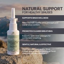 nature-s-rite-sinus-relief-1-5-oz-45-ml--61jzUH2jqxL.jpg