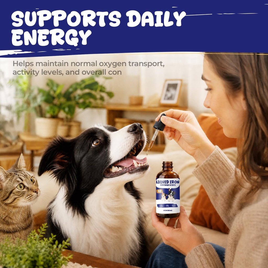 liquid-iron-supplement-for-dogs-cats-blo-71MxaS3cs0L.jpg