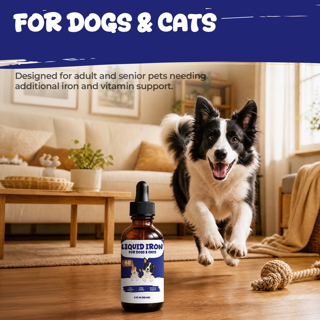 liquid-iron-supplement-for-dogs-cats-blo-71zd9VLWEvL.jpg