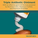 neosporin-original-triple-antibiotic-oin-71NFzRnlcyL.jpg