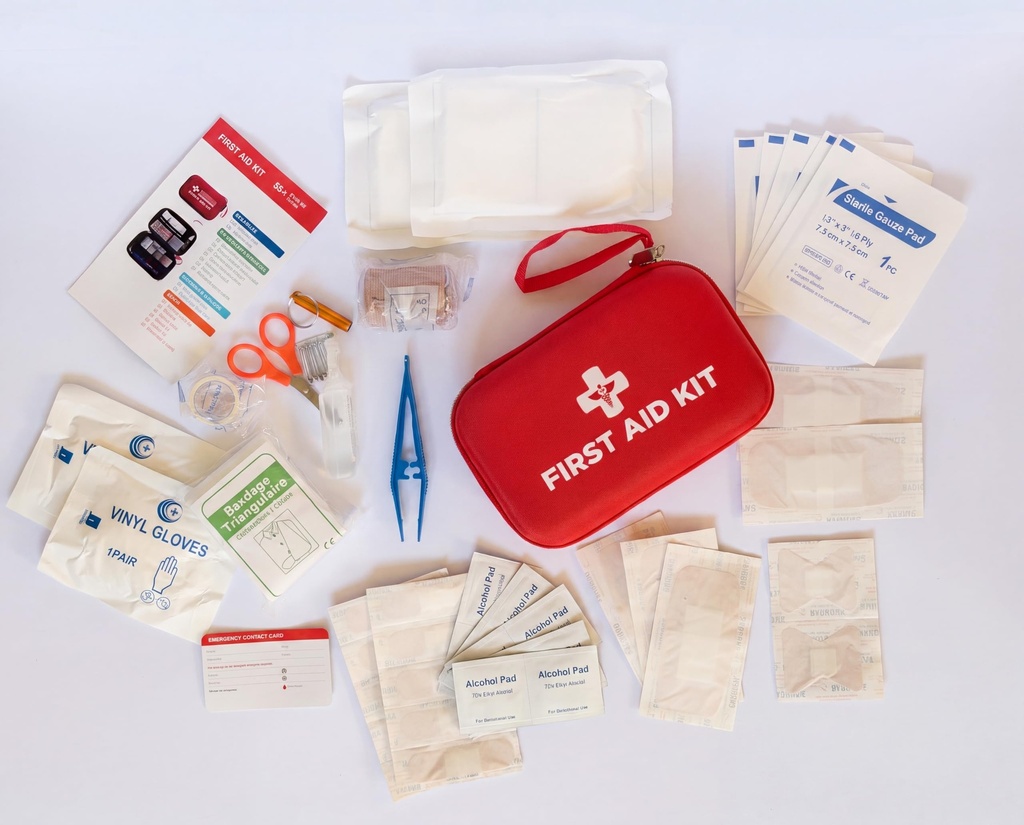 first-aid-kit-55-pieces-compact-hard-cas-8168gTA4JbL.jpg
