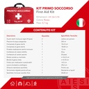 aiesi-professional-first-aid-kit-with-th-81bMX1+w4XL.jpg
