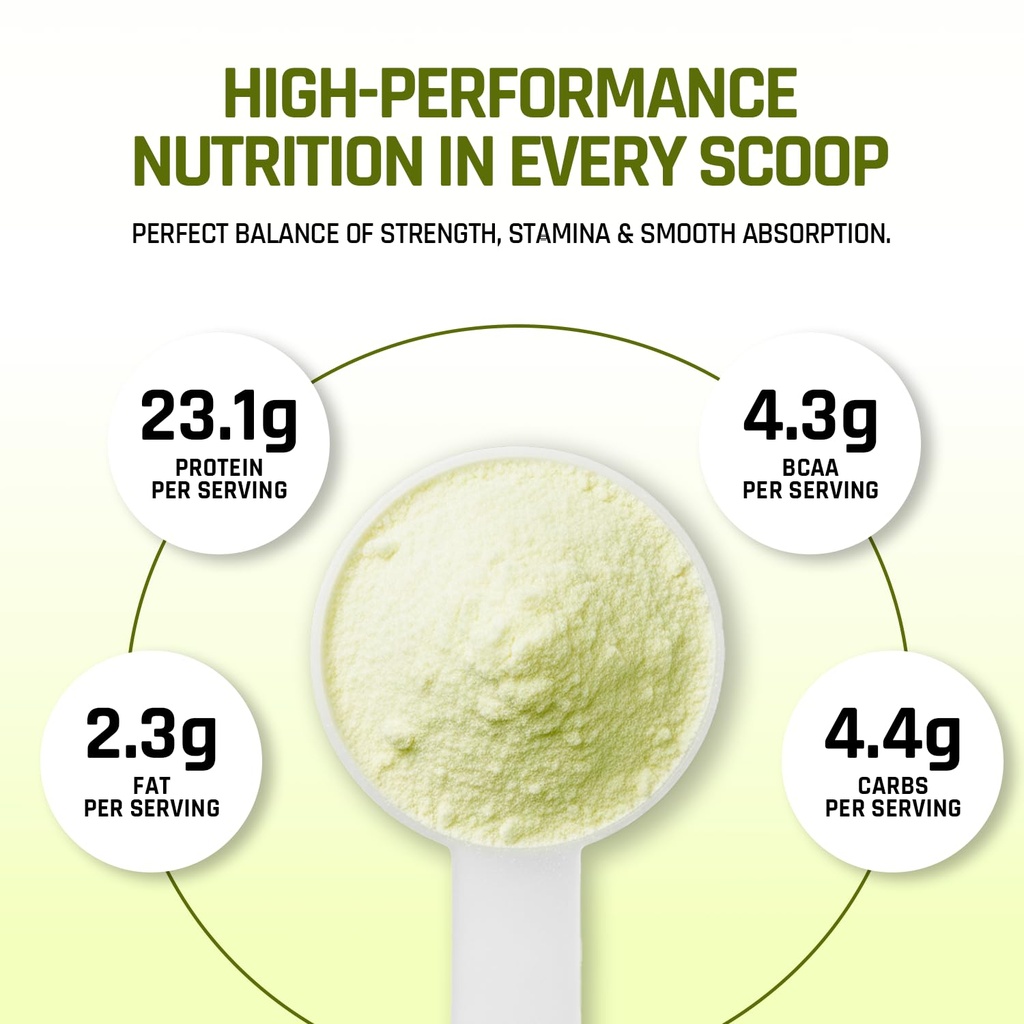 naturaltein-plant-protein-23g-clean-vega-61MzKLFNIgL.jpg