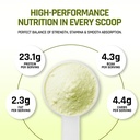 naturaltein-plant-protein-23g-clean-vega-61MzKLFNIgL.jpg