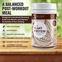 mypro-sport-nutrition-plant-protein-powd-81R3G89jgAL.jpg