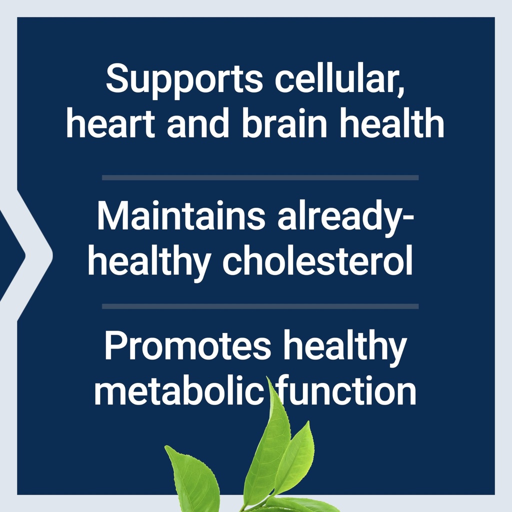 life-extension-mega-green-tea-extract-de-71SB11NHd7L.jpg