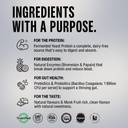 superyou-pro-fermented-yeast-protein-iso-61A1cJiqMYL.jpg