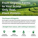 vlado-s-himalayan-organics-organic-prote-81P3BFWzHIL.jpg