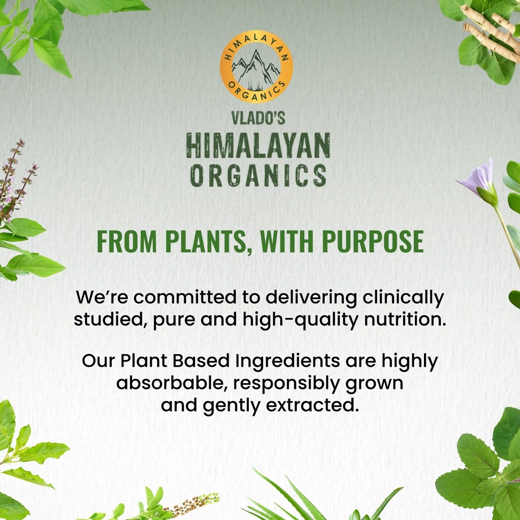 vlado-s-himalayan-organics-naturally-sou-71TJI5IEB9L.jpg