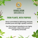 vlado-s-himalayan-organics-naturally-sou-71TJI5IEB9L.jpg