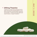 jarrow-formulas-theanine-200-200-mg-60-c-71j7alo1JsL.jpg
