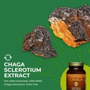 healthforce-superfoods-integrity-extract-6.jpg
