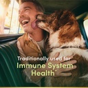 nature-s-bounty-echinacea-100-capsules-81SEXVjPxnL.jpg