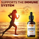 fablab-sarsaparilla-root-tincture---herb-3.jpg