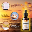 fablab-sarsaparilla-root-tincture---herb-4.jpg
