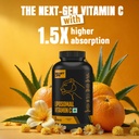 beastlife-liposomal-vitamin-c-higher-bio-61bxwSSNacL.jpg
