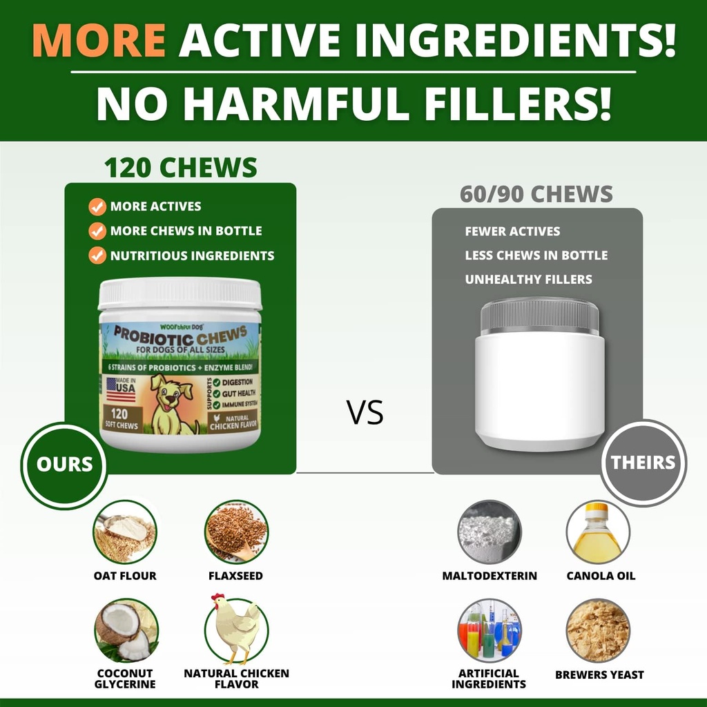probiotics-for-dogs---digestive-health-g-4.jpg