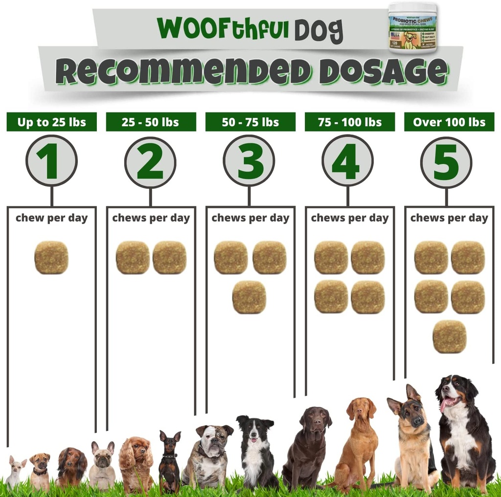 probiotics-for-dogs---digestive-health-g-5.jpg