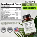best-blood-circulation-supplements-and-v-81tQGaahSyL.jpg