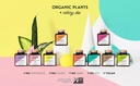 well-told-anti-aging-skin-support-supple-5.jpg